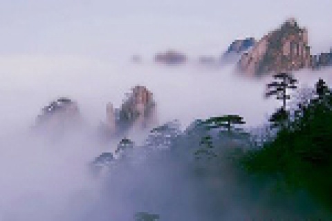 欧博abg(游戏)官网登录入口