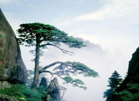 欧博abg(游戏)官网登录入口