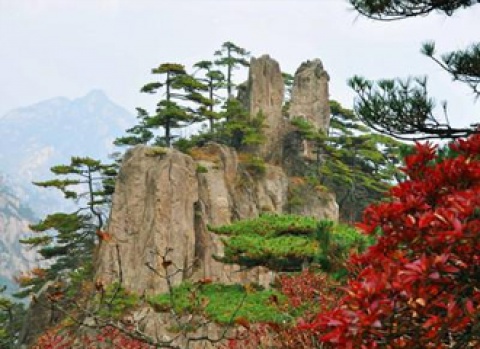 欧博abg(游戏)官网登录入口